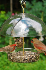 Droll Yankees Seed Saver Domed Tray Feeder 8"