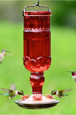 Perky Pet Antique Bottle Hummingbird Feeder Antique Red 24 oz