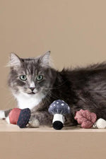 Petshop by Fringe Forest Finds