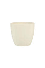 Cover-Pot 5.5" Cream