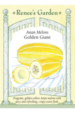 Renee's Garden Asian Melon Golden Giant Seeds