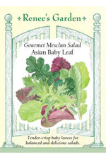 Renee's Garden Gourmet Mesclun Salad Asian Baby Leaf Seeds