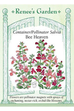Renee's Garden Container/Pollinator Salvia Bee Haven Seeds