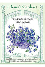 Renee's Garden Windowbox Lobelia Blue Haven Seeds