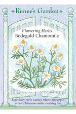 Renee's Garden Flowering Herbs Bodegold Chamomile Seeds