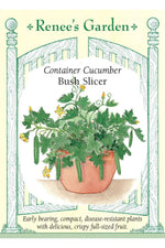 Renee's Garden Container Cucumber Bush Slicer Seeds