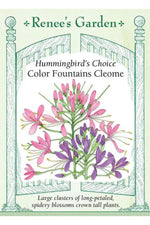 Renee's Garden Hummingbirds Choice Color Fountains Cleome Seeds