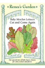 Renee's Garden Baby Mesclun Lettuces Cut and Come Again Seeds
