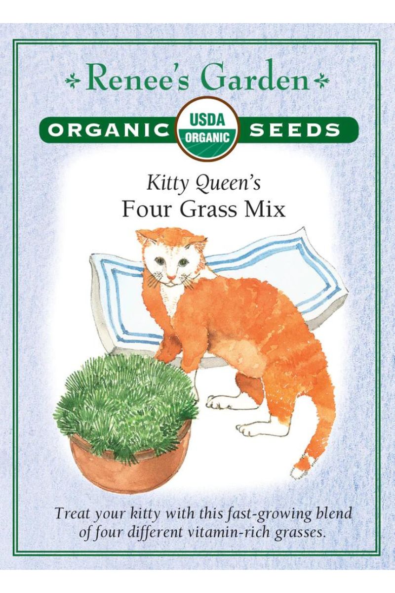 where to buy renee's garden seeds near me Renee's Garden Kitty Queen's Four Grass Mix Organic Seeds