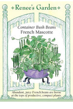Renee's Garden Container Bush Beans French Mascotte Seeds