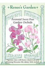 Renee's Garden Perennial Sweet Peas Garden Orchids Seeds