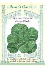 Renee's Garden Gourmet Collards Green Flash Seeds