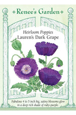 Renee's Garden Heirloom Poppies Lauren's Dark Grape Seeds