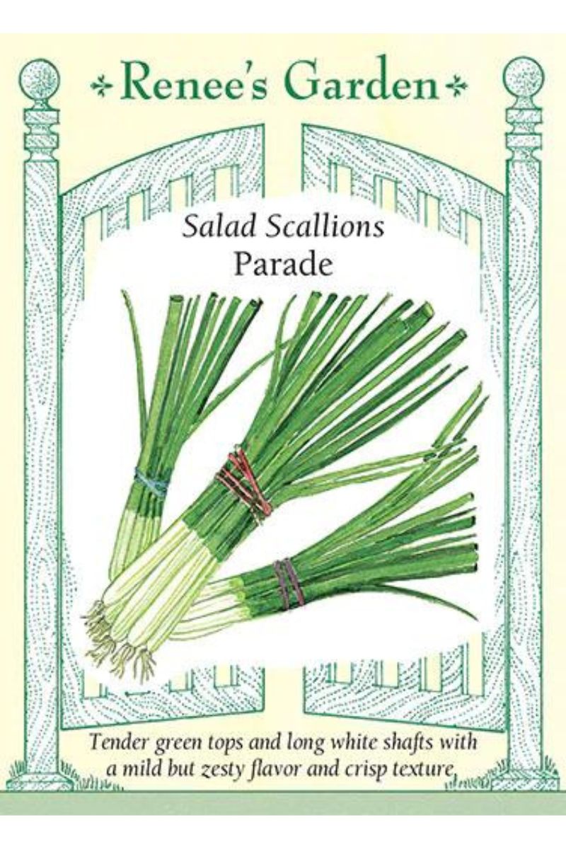 garden salad seeds Renee's Garden Salad Scallions Parade Seeds – Chalet