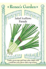 Renee's Garden Salad Scallions Parade Seeds