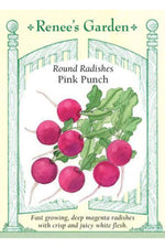 Renee's Garden Round Radishes Pink Punch Seeds