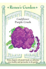 Renee's Garden Cauliflower Purple Crush Seeds