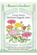 Renee's Garden Cactus Zinnias Heirloom Raggedy Anne Seeds