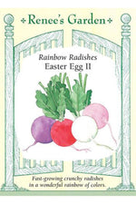 Renee's Garden Rainbow Radishes Easter Egg II Seeds
