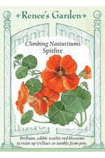 Renee's Garden Climbing Nasturtiums Spitfire Seeds