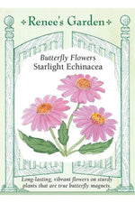 Renee's Garden Butterfly Flowers Starlight Echinscea Seeds