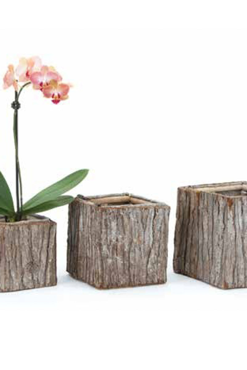 bark plant pot Tree Bark Cube Planter Medium – Chalet