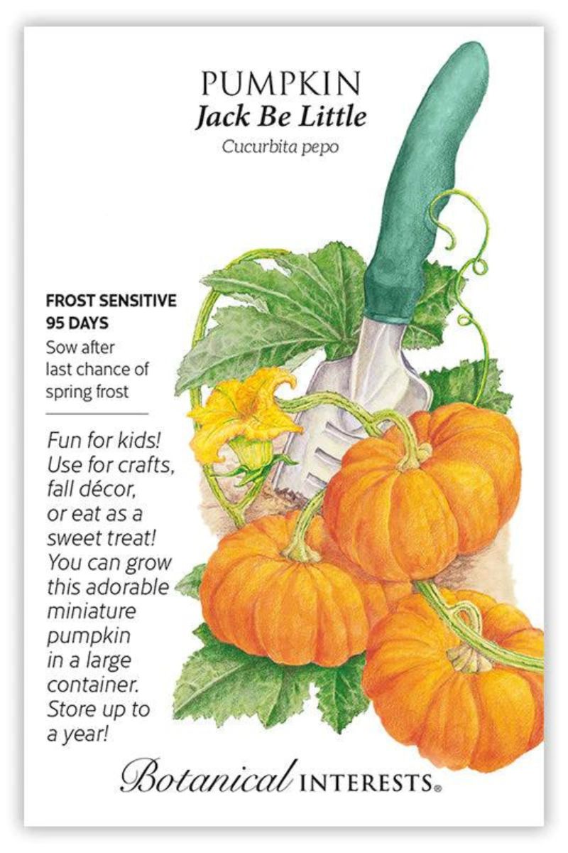 sweet pumpkin seeds for planting Botanical Interests Jack Be Little Pumpkin Seeds