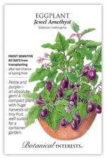 Botanical Interests Jewel Amethyst Eggplant Seeds