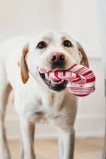 P.L.A.Y. Holiday Classic Candy Canes