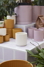 Beam Pot 4.75"x4.5" Off White