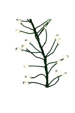 Big Seed Cluster 420 Lights multi