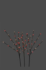 Twigs LED Set of 3 60 Lights Red & Warm White