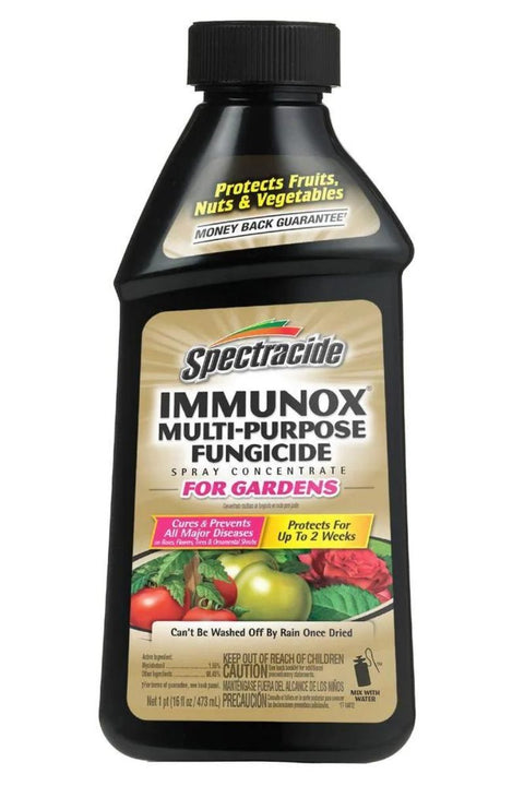 Spectracide Immunox Multi-Purpose Fungicide Spray Concentrate 16 oz
