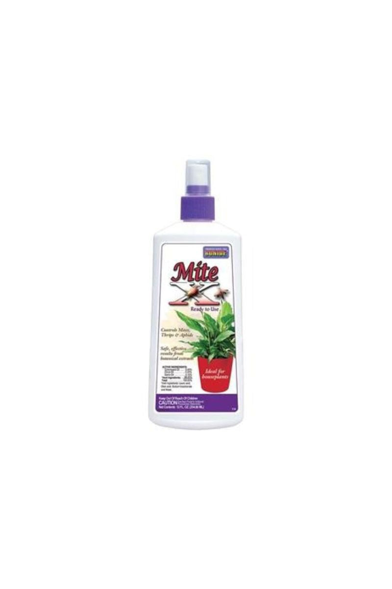house plant mite spray Bonide Mite-X Houseplant Insecticide