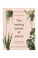 The Healing Power of Plants: The Hero Houseplants That Will Love You back