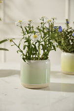 Skyway Pot 5.25"x 5" Light Green