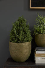 Pigment Pot 11.5"x 10.5" Green