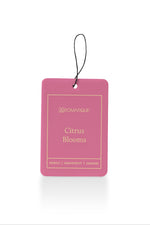Aromatique Citrus Blooms Aroma Cards