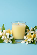 Aromatique Citrus Blooms Votive