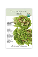 Botanical Interests Australe Butterhead Lettuce Organic Seeds