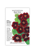 Botanical Interests Black Velvet Nasturtium Seeds