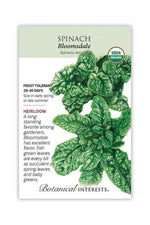 Botanical Interests Bloomsdale Spinach Organic Seeds Large
