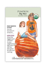 Botanical Interests Big Max Pumpkin Organic Seeds