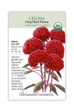 Botanical Interests Chief Red Flame Celosia Organic Seeds