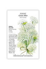 Botanical Interests Green mist Ammi Seeds