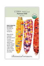 Botanical Interests Painted Hill Sweet Corn Organic Seeds