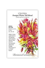 Botanical Interests Pampas Plume Tall Blend Celosia Seeds