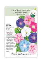 Botanical Interests Pinwheel Blend Morning Glory Organic Seeds