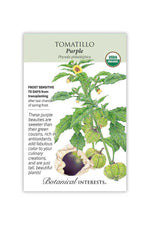 Botanical Interests Purple Tomatillo Organic Seeds