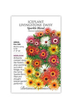 Botanical Interests Sparkle Blend Iceplant (Livingstone Daisy) Seeds
